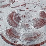 phoca_thumb_m_andlci 5 Fotogalerie